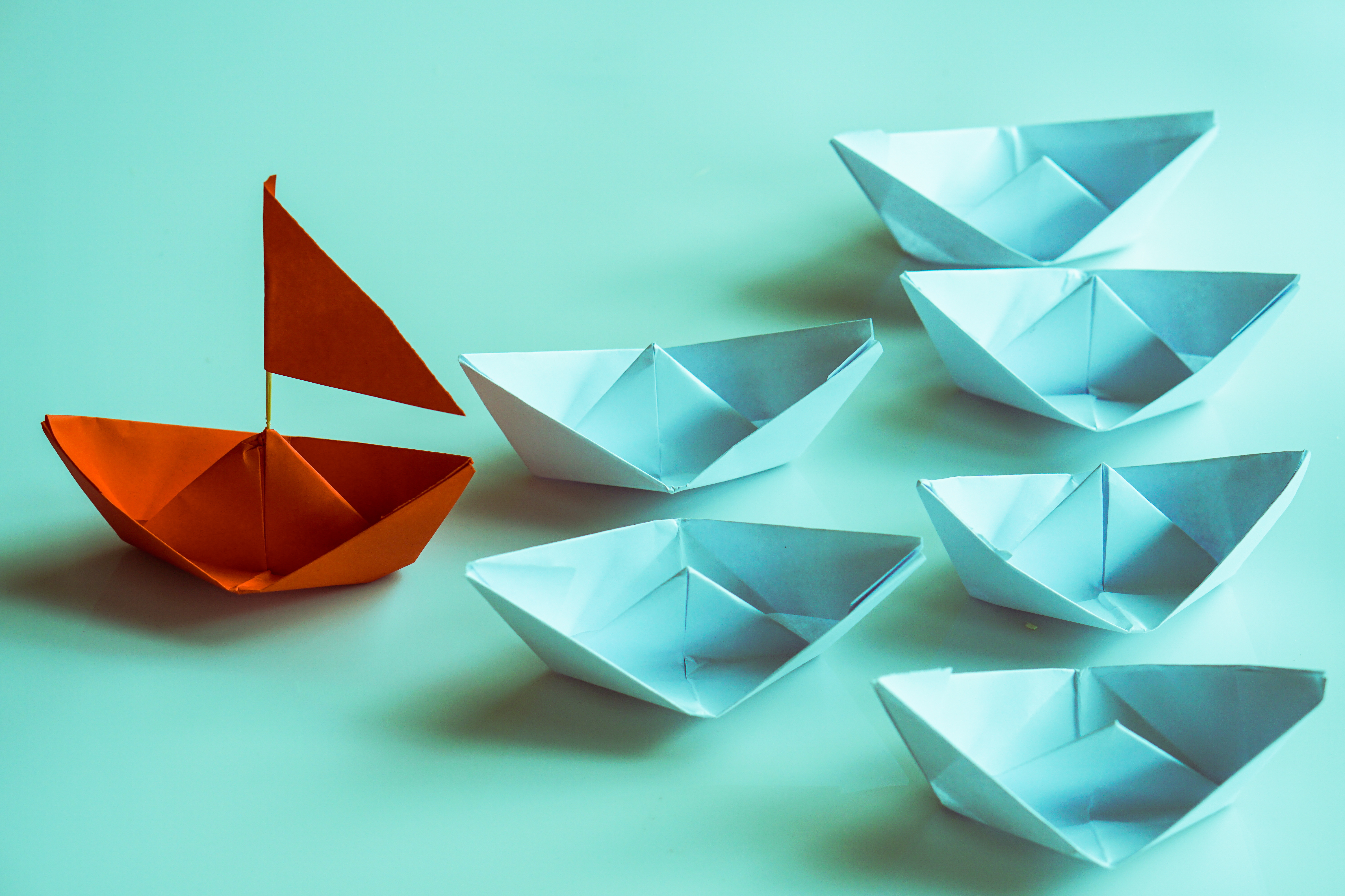 Papierboote, Führung