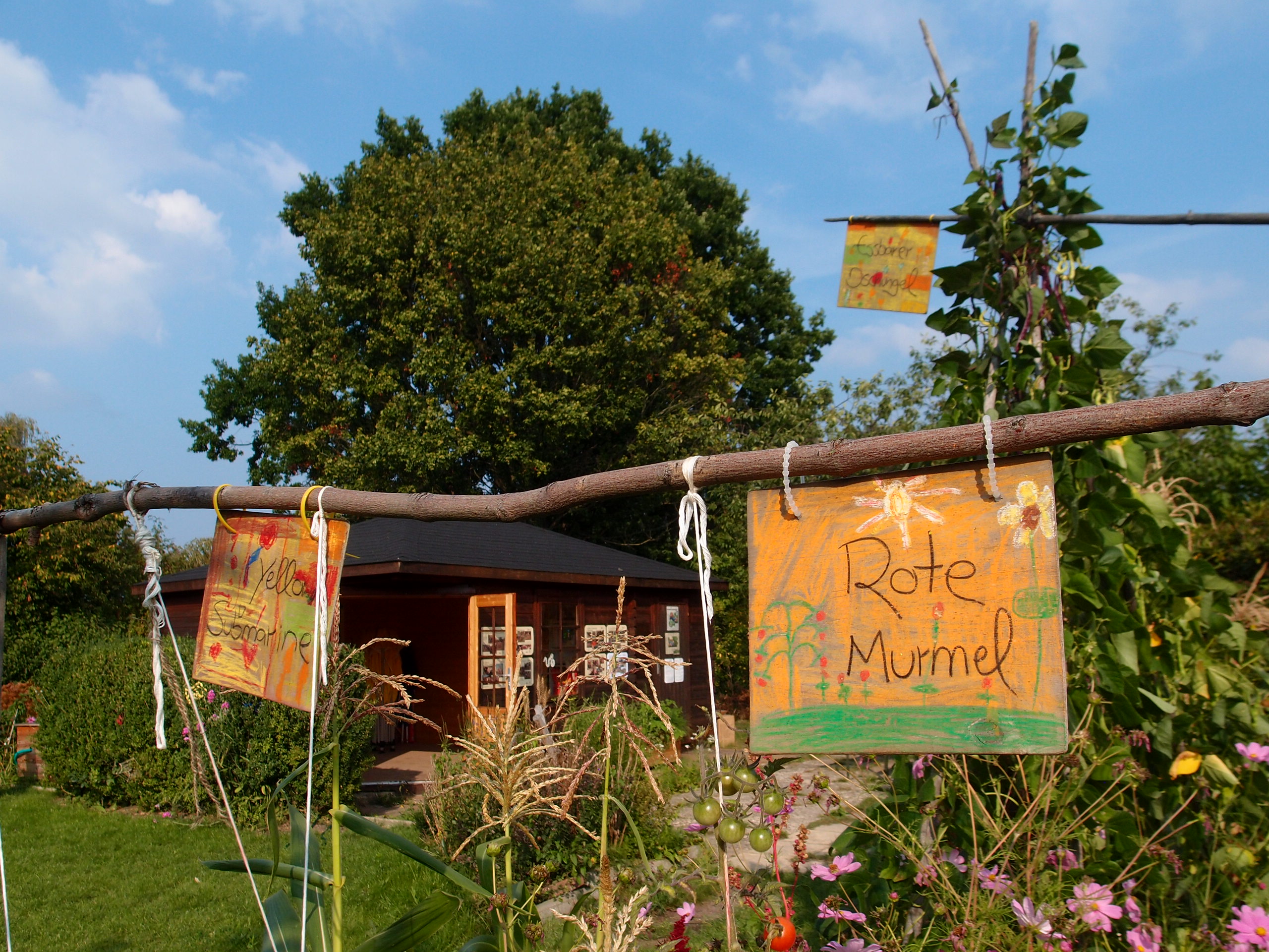 Essbarer Dschungel Essbarer Dschungel