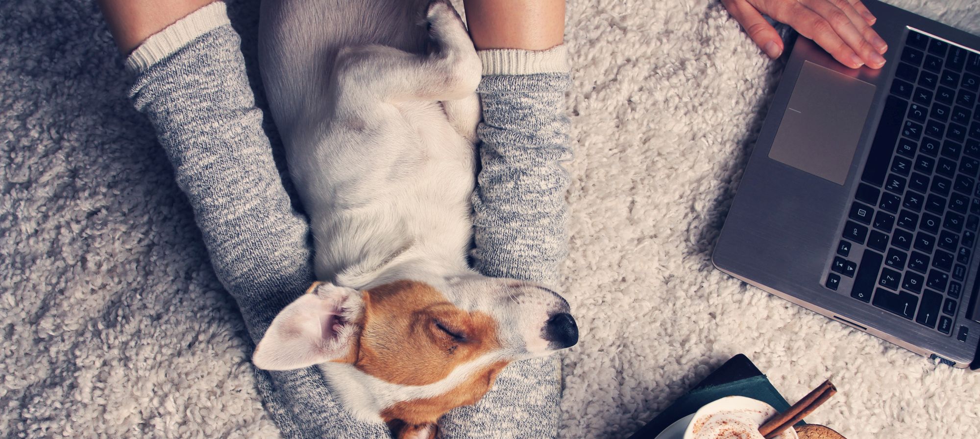 Woman in cozy home wear relaxing at home with sleeping dog Jack Russel terrier, drinking cacao, using laptop, top view. Soft, comfy lifestyle. Die vetline-Akademie bietet vielseitige Online-Seminare für Tierärzte
