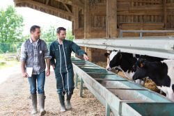 Farmer and veterinary working together in a barn Fachzeitschriften für die Praxis der Tiermedizin
